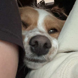 Meet your Posher, Alana